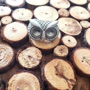 {Fossil} Owl Ring